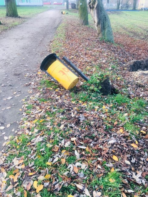 Zdjęcia nadesłane przez czytelnika