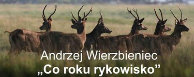 Wystawa fotografii w muzuem