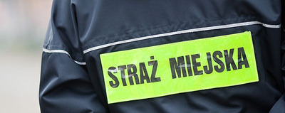 Straż Miejska w statystyce 