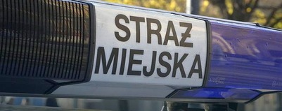 Straż Miejska w statystyce 