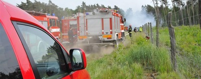 Duży pożar lasu