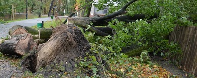 Ciąć bardziej restrykcyjnie?