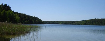 Sprytny wybieg z myślą o plażowiczach