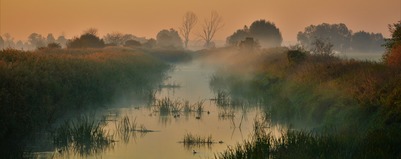 Poranek nad Obrą