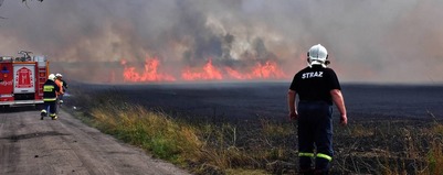 Spłonęło zboże na pniu