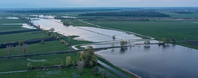 Kłopot czy stan pożądany? 