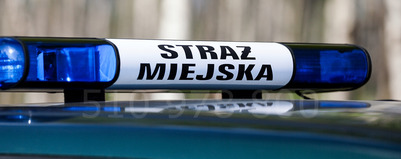 Straż Miejska w liczbach