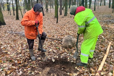 Dwieście nowych drzew w Kościanie