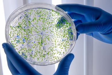 Skuteczna kontrola biofilmu w instalacjach przemysłowych – techniki i wyzwania