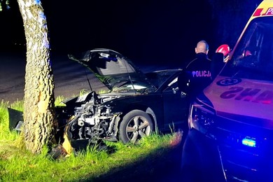 Chciał uniknąć zderzenia z sarną. Audi rozbiło się o drzewo