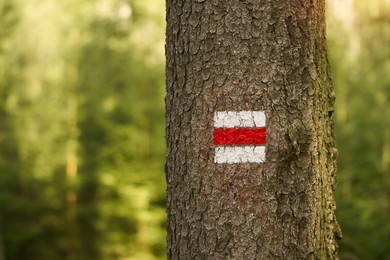 Pieszo i rowerem przez Ziemię Kościańską 